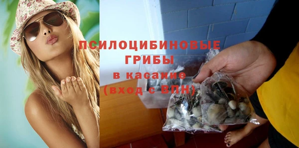 бошки Касимов
