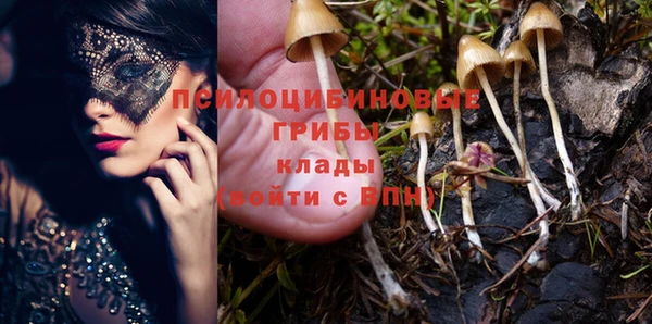 a pvp Киреевск