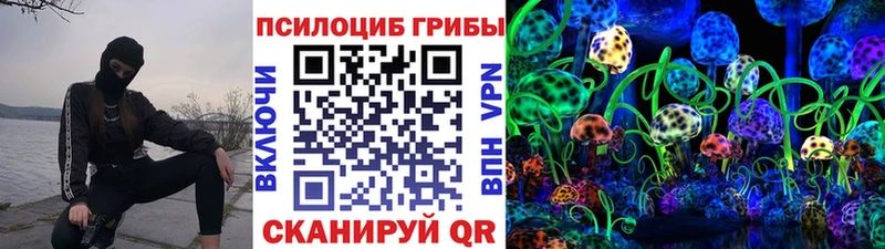 Купить  Игра  Псилоцибиновые грибы Psilocybine cubensis 